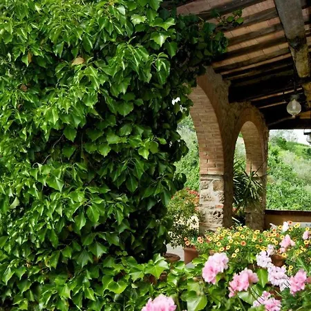 Bed & Breakfast La Bufalona - Pool & Relax Massa Marittima